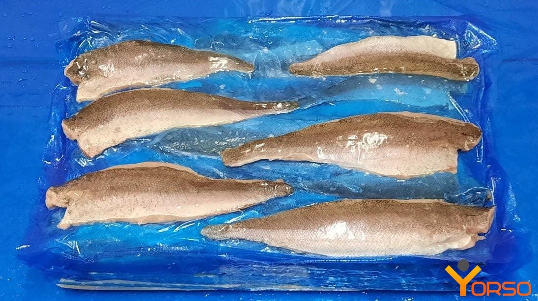 Black hake